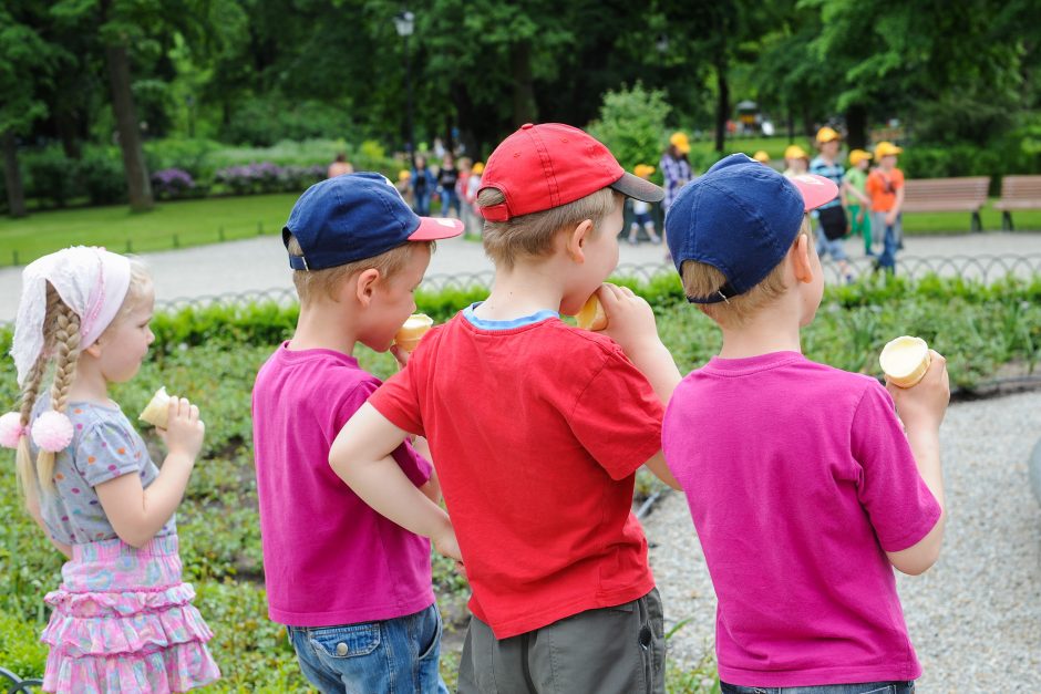 Gimimo eilė šeimoje gali nulemti sveikatą