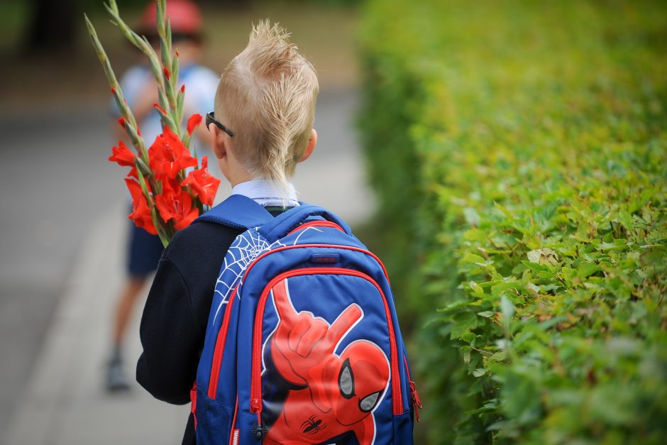 Idėja, kad mokyklą pradėtų lankyti jaunesni vaikai, sutikta palankiai