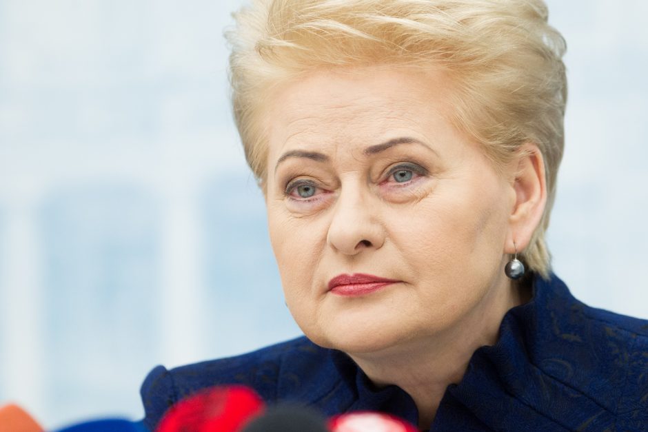D. Grybauskaitė: ES turi daugiau investuoti į savo gynybą 