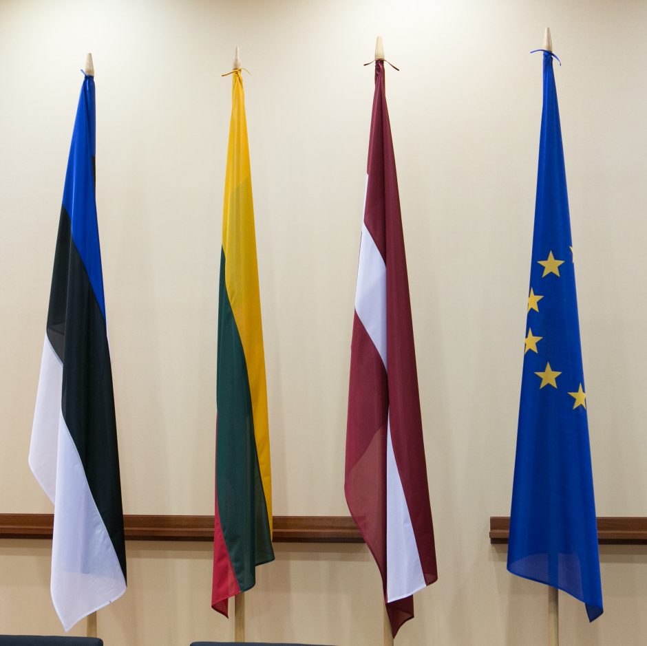 Baltijos šalys bendrai koordinuos veiksmus dėl grėsmių viešajai tvarkai ir saugumui