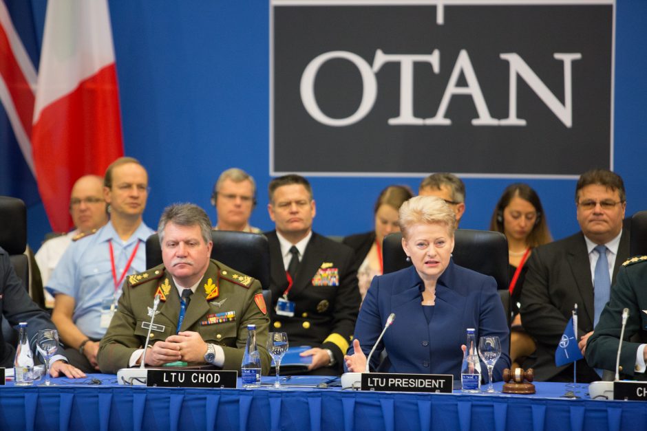 Lietuviai ypač palankiai vertina šalies narystę NATO