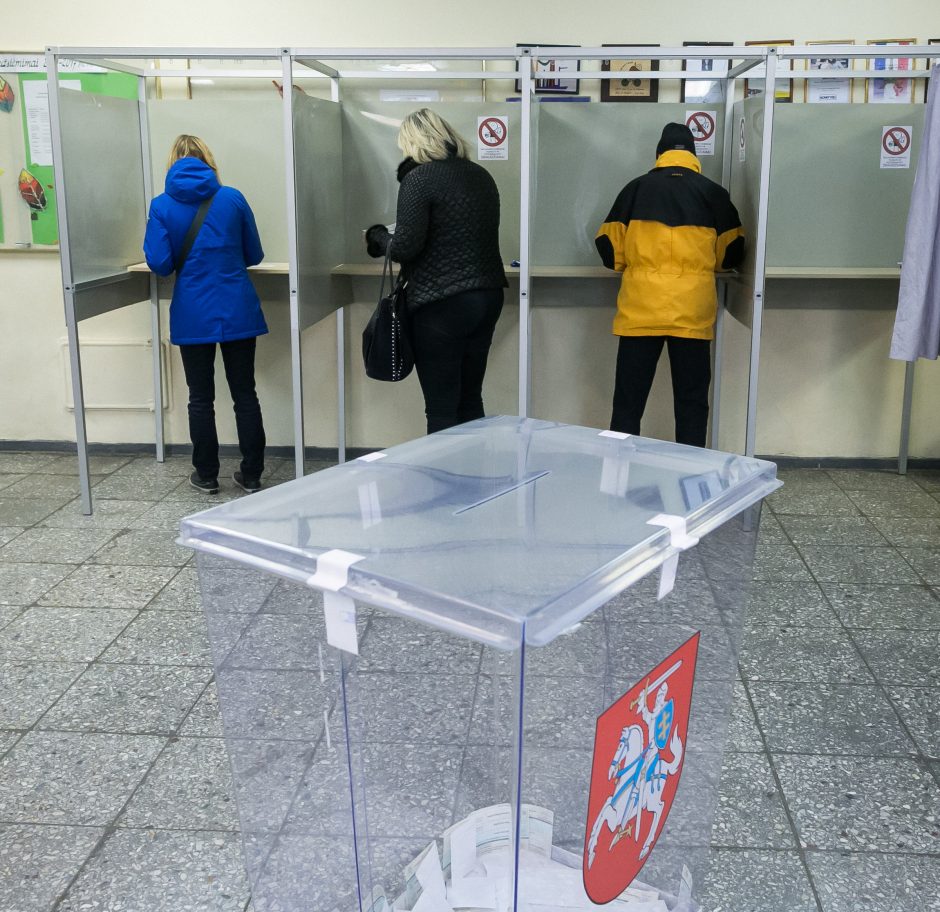 Dalyvauti rinkimuose jau registravosi devyni visuomeniniai komitetai