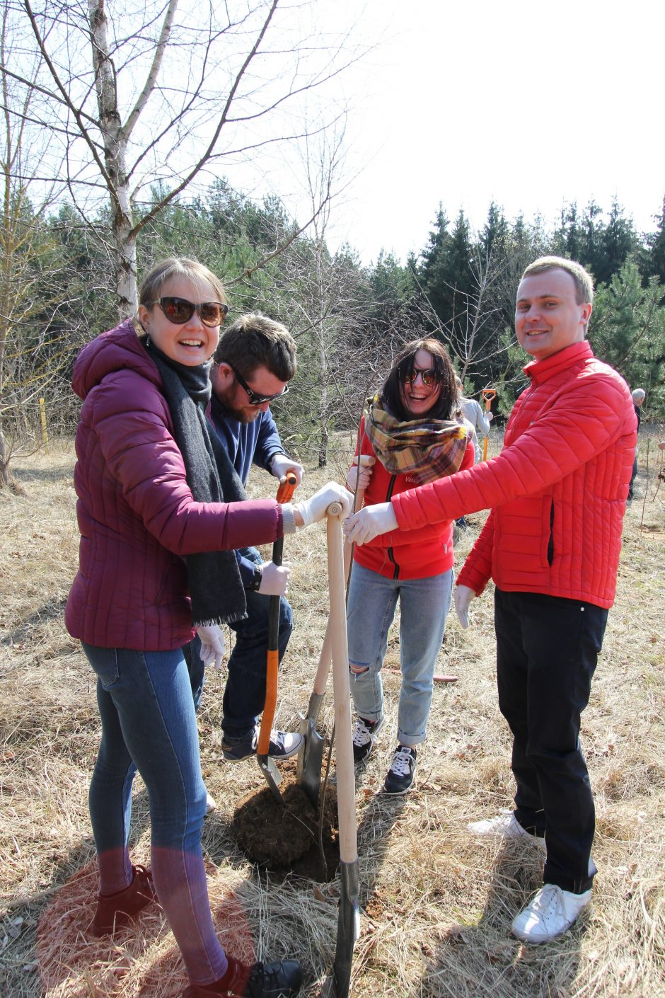 Plinta nauja gerumo iniciatyva – dovanoti miestui medžius
