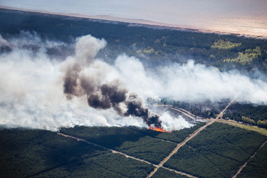 Gaisras Kuršių nerijoje sustabdytas, išdegė 62 hektarai miško (unikalios foto)