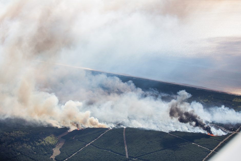 Gaisras Kuršių nerijoje sustabdytas, išdegė 62 hektarai miško (unikalios foto)