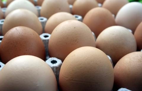 Iš trečiųjų šalių įvežti kiaušiniai turi būti papildomai paženklinti