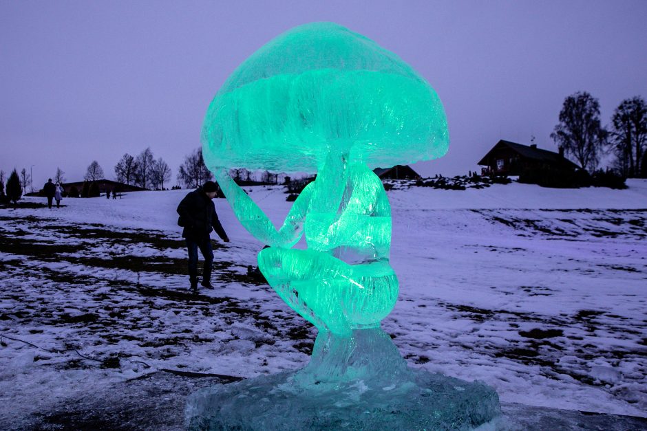 Ledo skulptūrų ir šviesų festivalis „Pasaka“