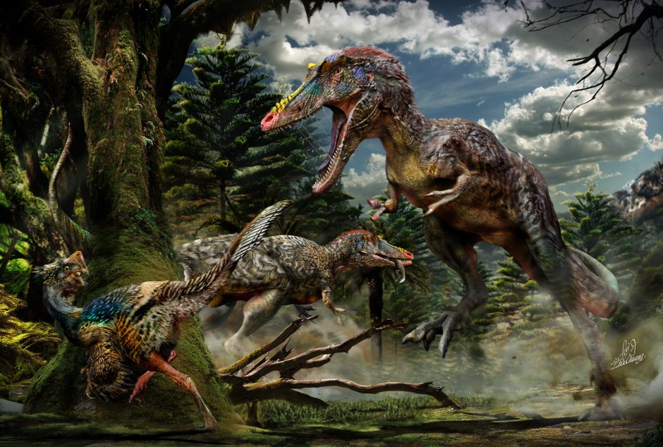 Mokslininkai atskleidė daugiau detalių apie tiranozaurus