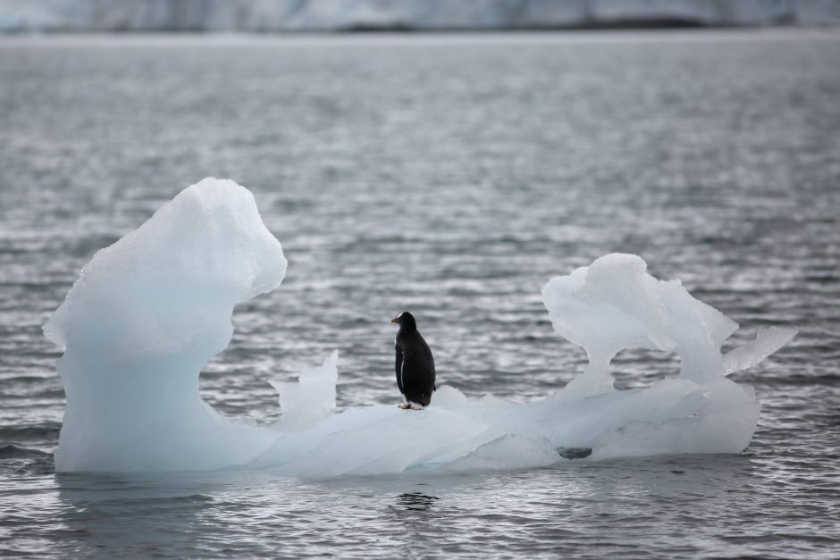 Trigubai paspartėjęs Antarkties ledynų tirpsmas kelia vandenynų lygį