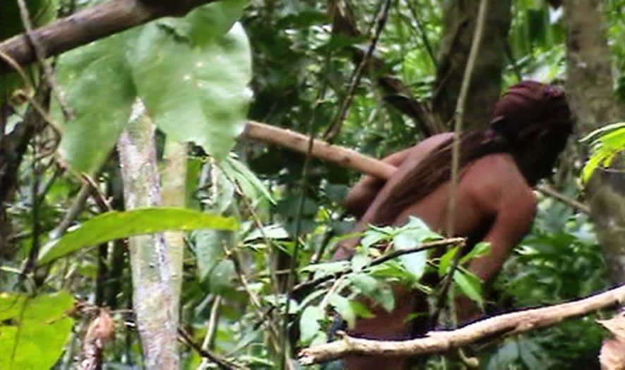 Dėl nelegalaus Amazonijos miškų kirtimo areštuota beveik 20 žmonių