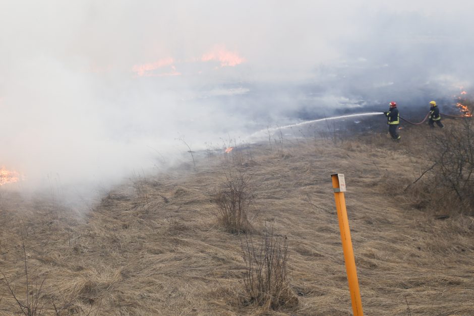 Aplinkosaugininkai: šiemet jau išdegė daugiau hektarų žemės nei pernai tuo pačiu metu