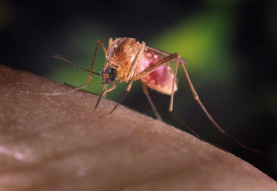Keturi po Etiopiją keliavę lietuviai užsikrėtė maliarija