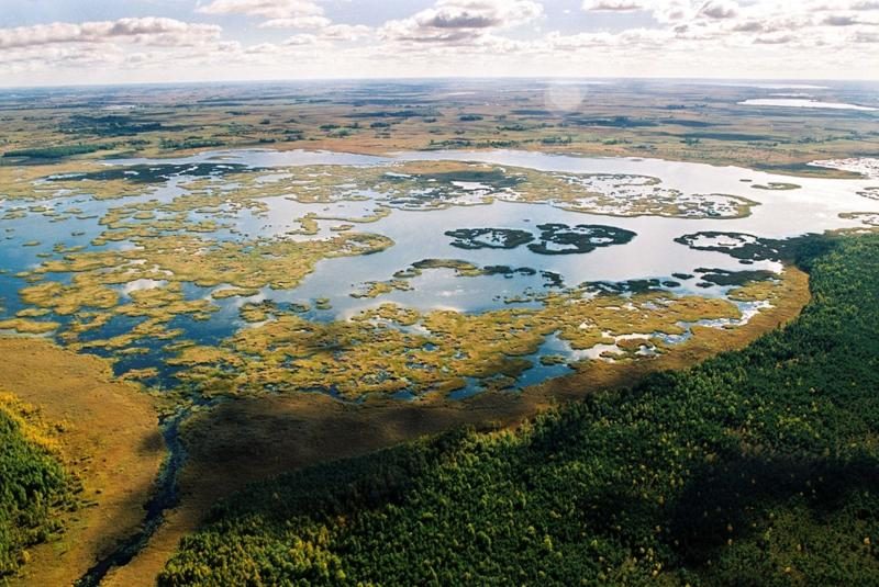 Žygis po pelkes – galimybė pažinti unikalią gamtą