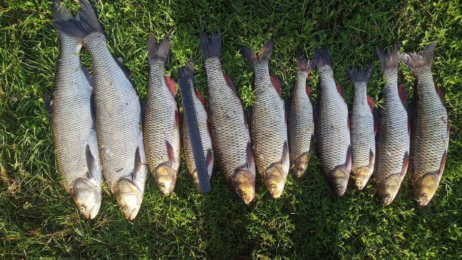 Už keturis šapalus žvejys paklos 450 eurų baudą
