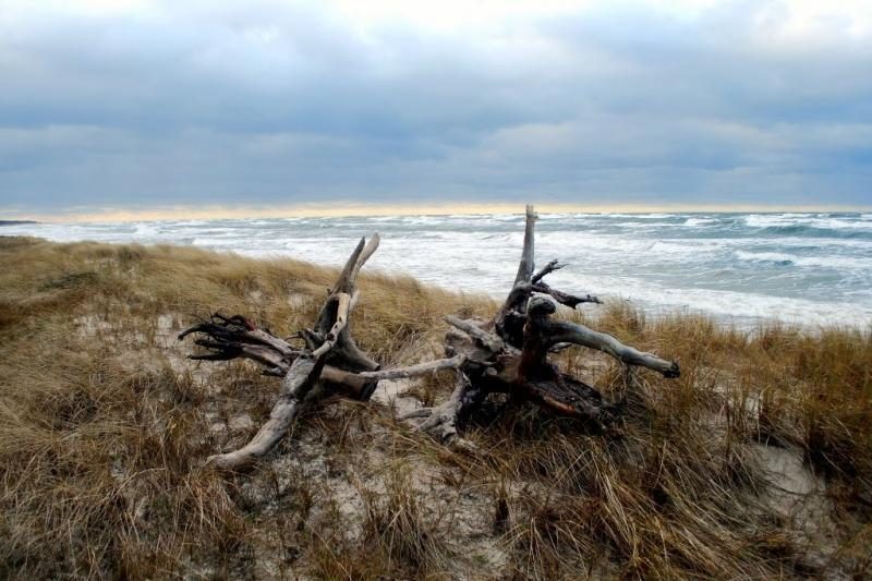 Baltijos jūroje – tiksinti bomba: gresia net ekologinė katastrofa