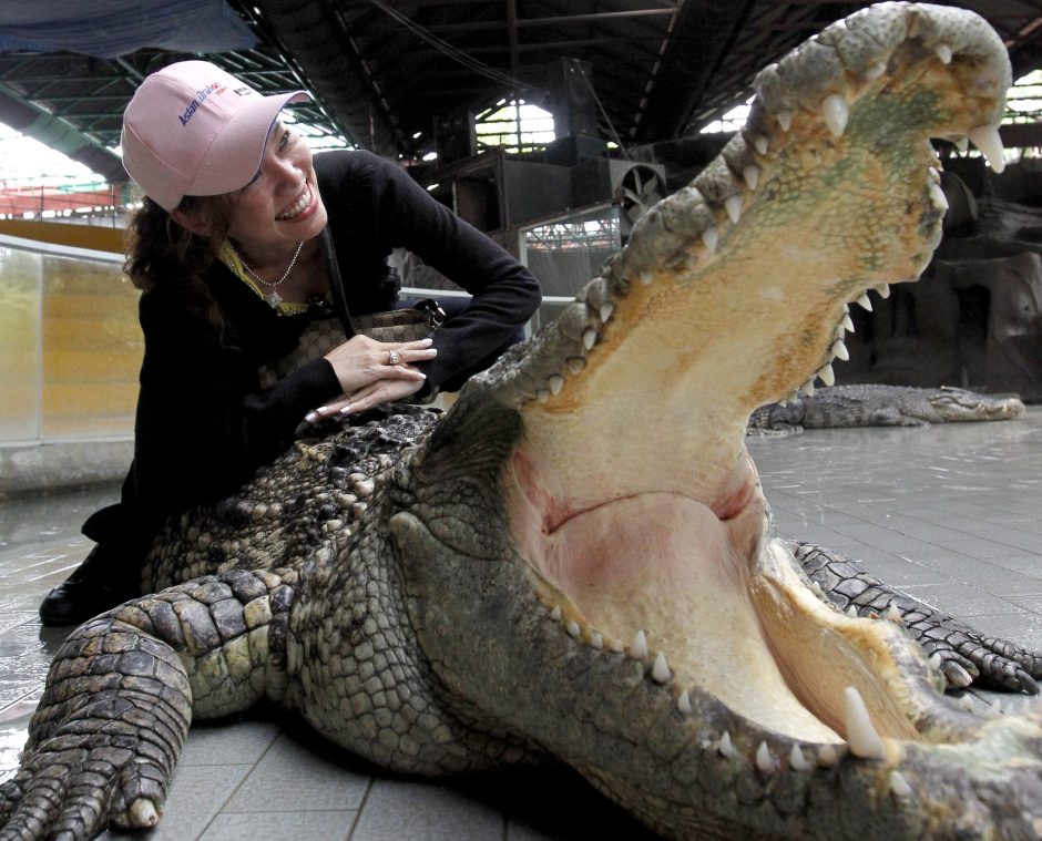 Asmenukę mėginusiai pasidaryti prancūzei įkando krokodilas