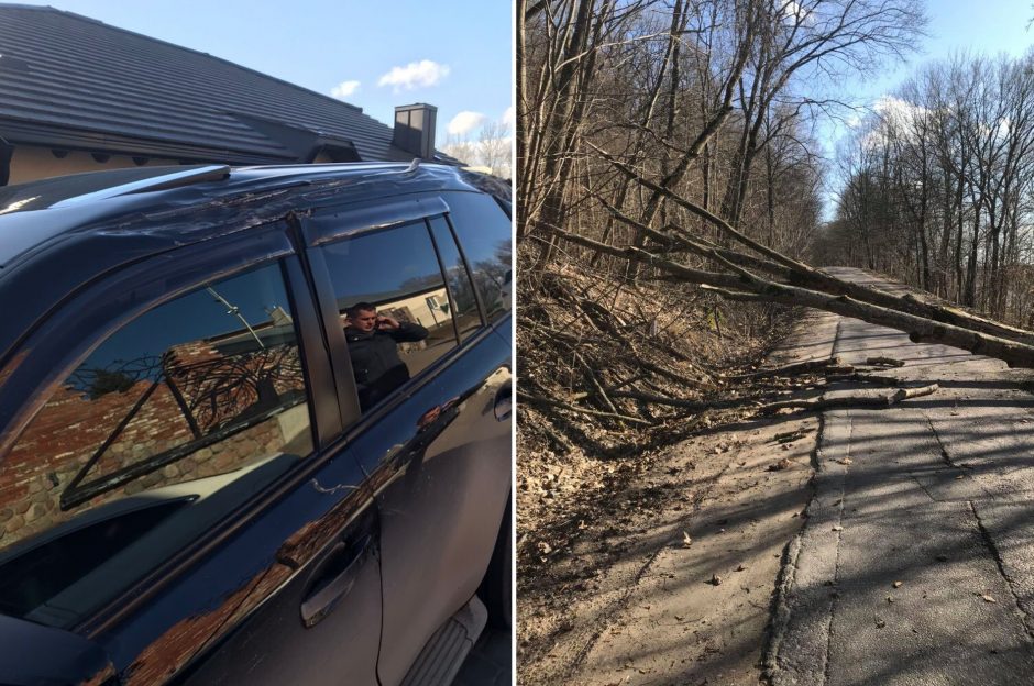 Per plauką nuo tragedijos: medžiai krinta ant automobilių