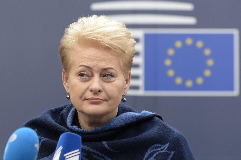 D. Grybauskaitė: Seimo komisijomis manęs užtildyti nepavyks