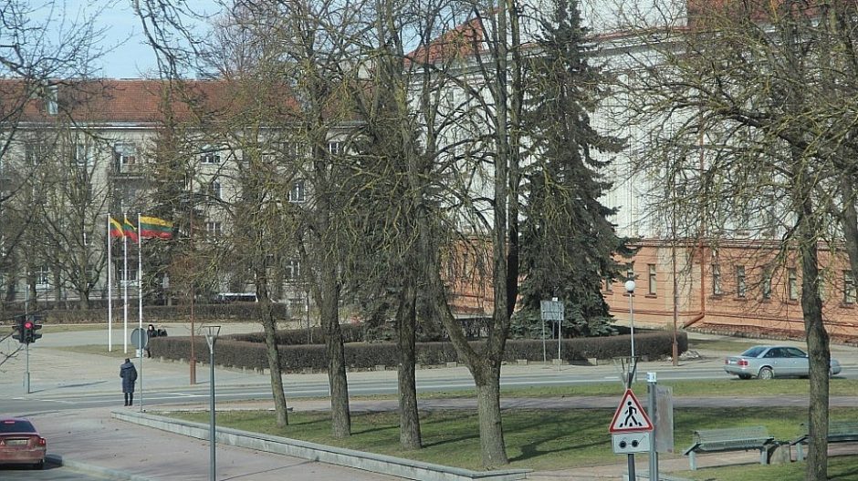 Rekonstruojant Šiaulių centrą planuojama nupjauti bemaž 250 medžių