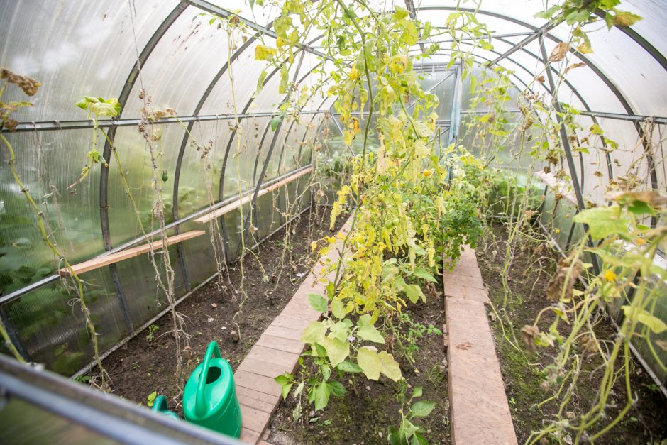 Nuteistų nepilnamečių gyvenimo mokykla arba kaip „žulikai“ tapo „vaikais“