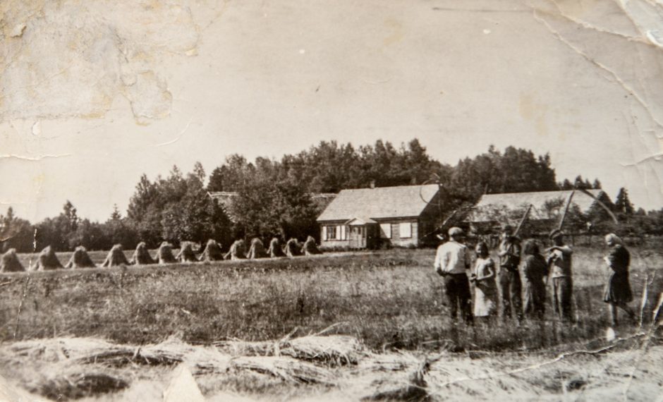 Apie partizanų vadą Alfonsą, kurį vertino ne tik J. Lukša