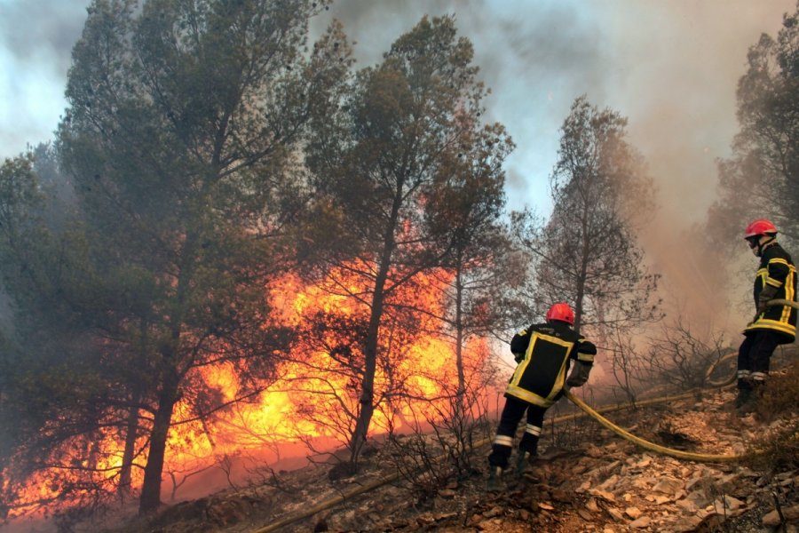 Dėl gaisrų pavojaus ketinama riboti lankymąsi šalies miškuose