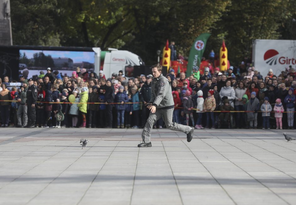 Angelų sargų dieną sostinėje – kinologų, motoakrobatų, žirgų ir „Aro“ kovotojų šou