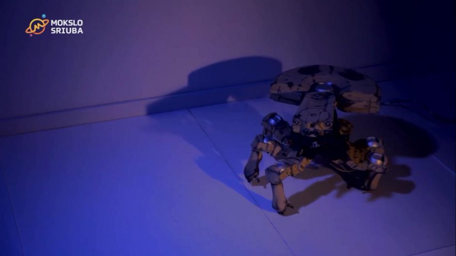 Lietuvio kūrinys – gyvą padarą primenantis robotas