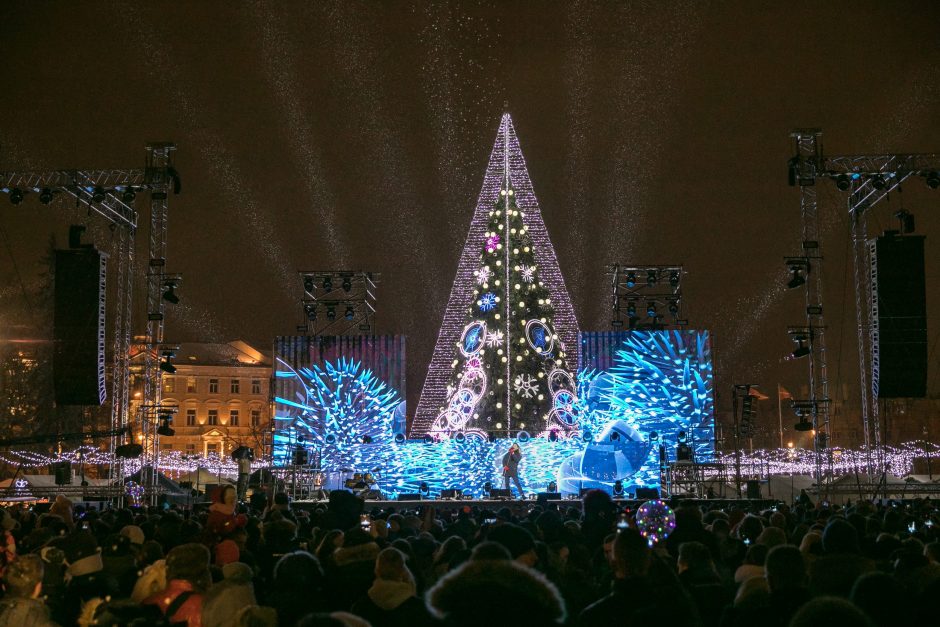 Sostinės Katedros aikštėje suspindo Kalėdų eglė