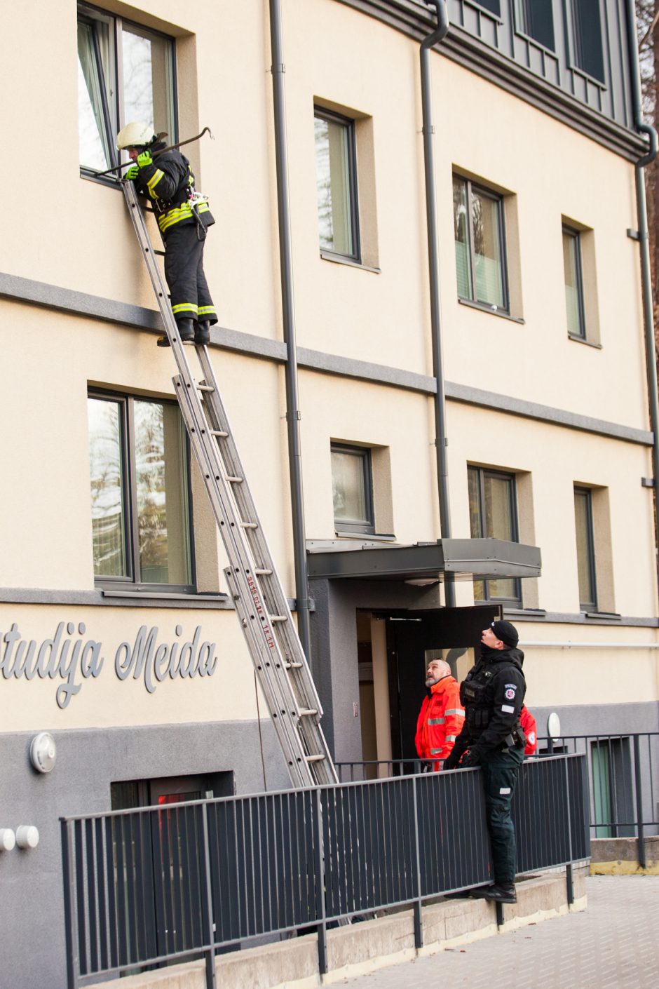 Sumaištis Žemaičių gatvėje: nauja Asilo auka – jo sugyventinė?