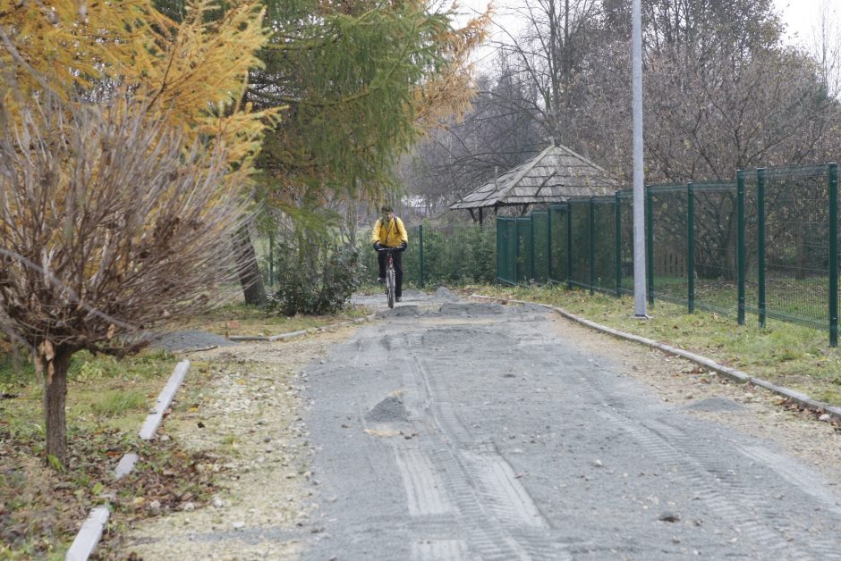 Vagims parūpo tvora prie Dangės