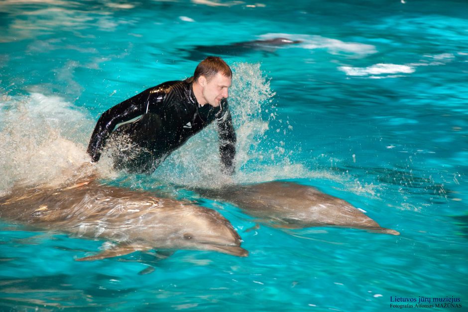 Atsinaujinęs delfinariumas pasirengęs lankytojų antplūdžiui  