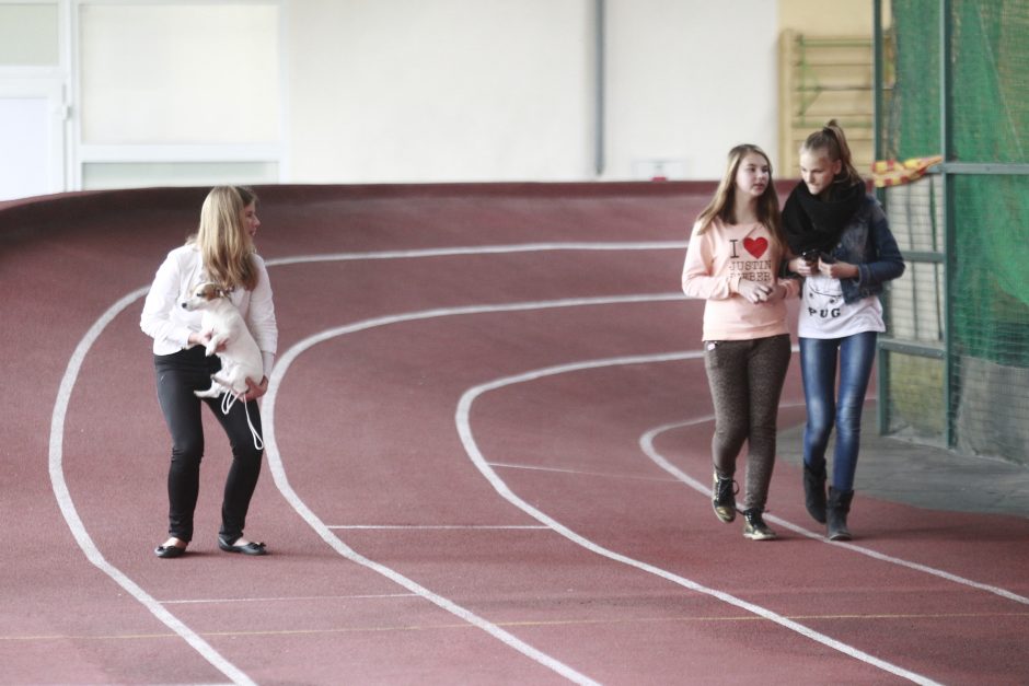 Labdaringos šunų parodos tikslas – vaikų švietimas