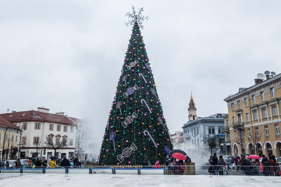 Rotušės aikštėje įžiebta Vilniaus Kalėdų eglutė