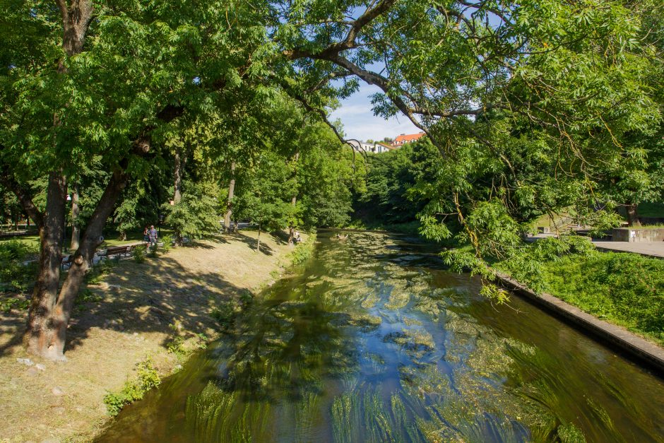 Vilnelėje rastas nuskendęs žmogus