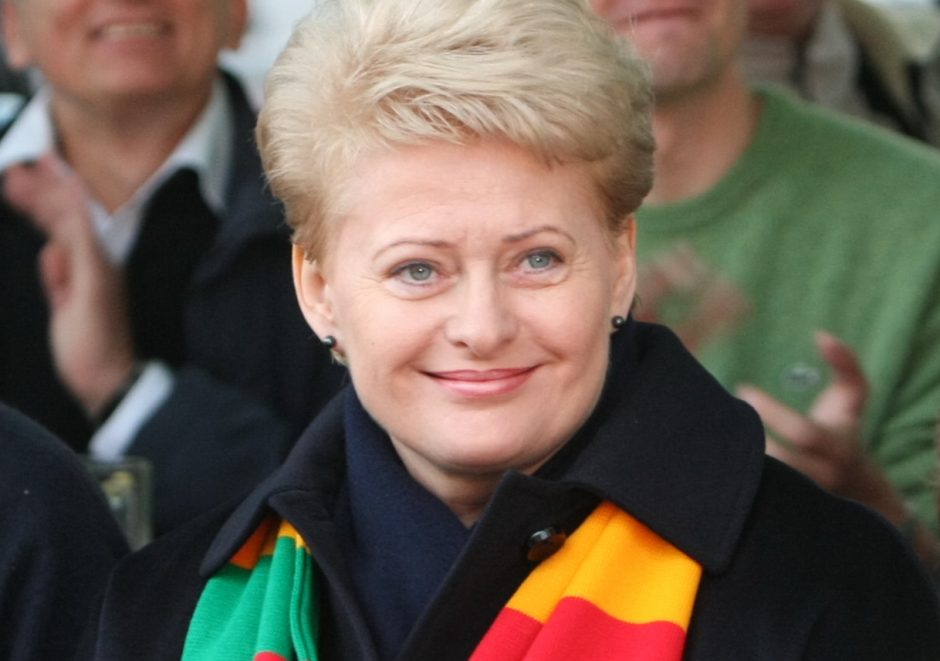D.Grybauskaitė priims Vilniuje viešinčius Ukrainos opozicijos lyderius