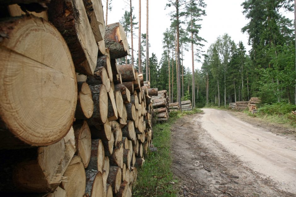 Šešėlio dydis miškuose aplinkos ministro nenustebino