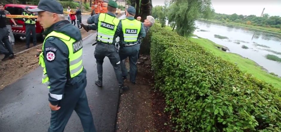 Prieš medžių kirtimą protestuojančius kauniečius sulaikė policija