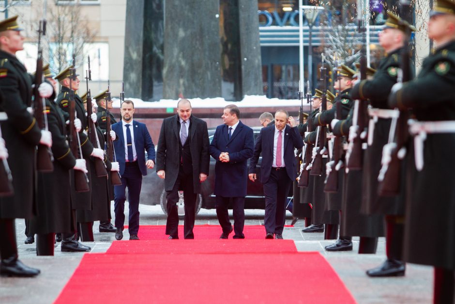 D. Grybauskaitė: Lietuva buvo, yra ir bus artima Sakartvelo draugė