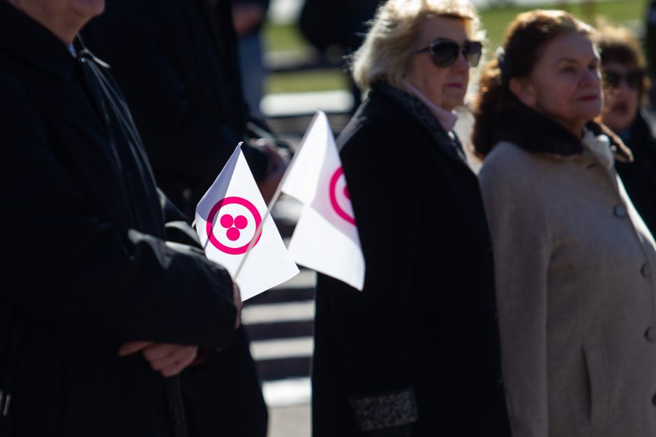 Nepriklausomybės aikštėje iškelta Taikos vėliava