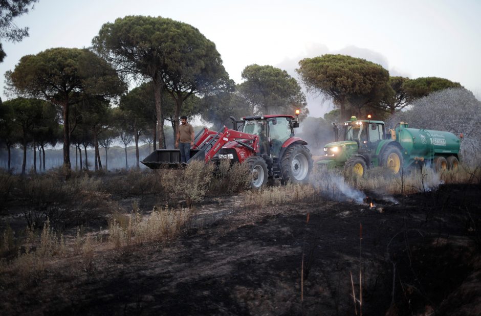 Ispanijos nacionaliniame parke įsiplieskė gaisras
