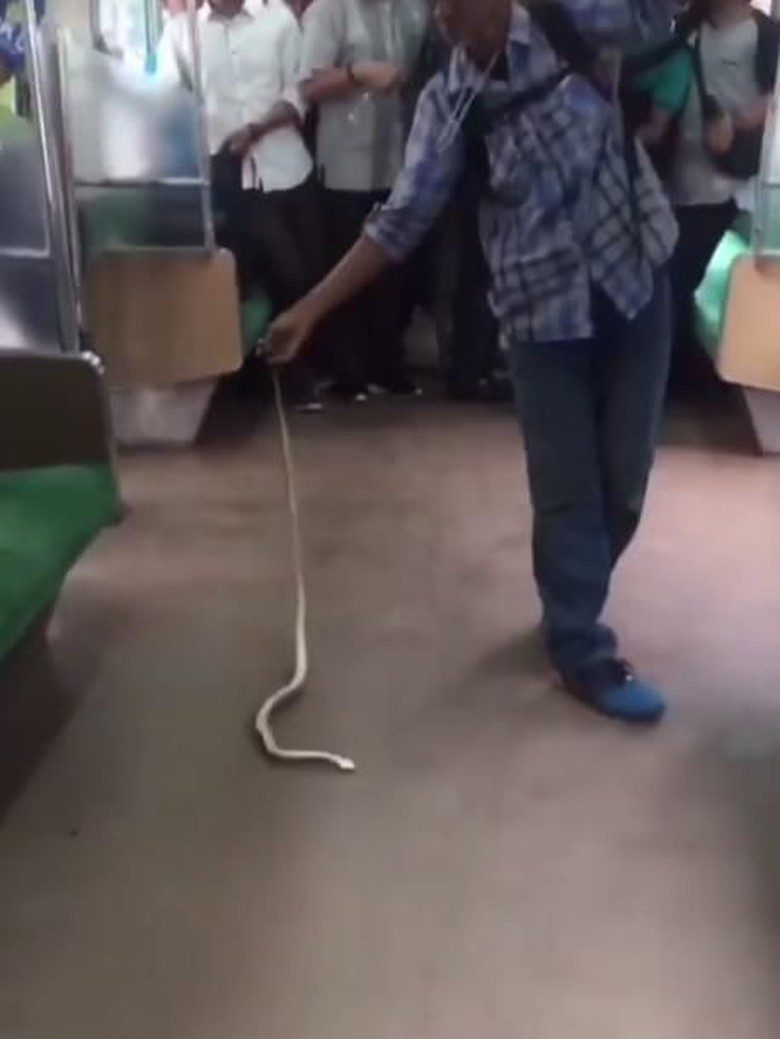 Indonezietis traukinyje plikomis rankomis nugalabijo gyvatę