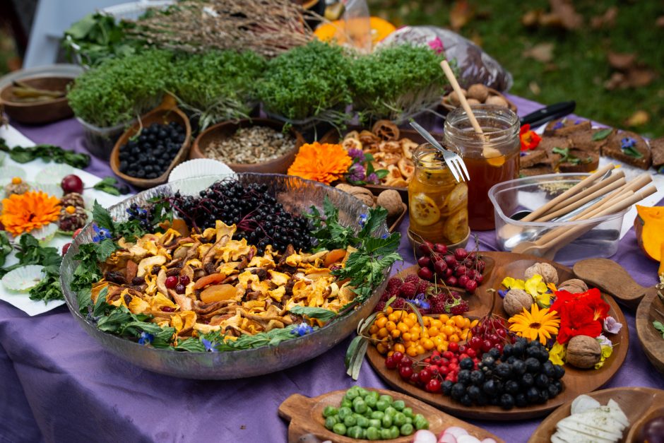 Sveiko maisto šventė: iškyla neapsiriboja tik šašlykais ir traškučiais