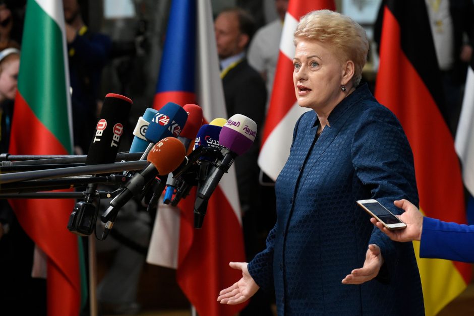 ES šalių lyderiai pritarė Lietuvos iniciatyvai dėl kibernetinių atakų