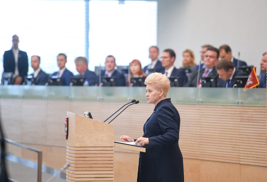 D. Grybauskaitės metinį pranešimą įvertino politikai