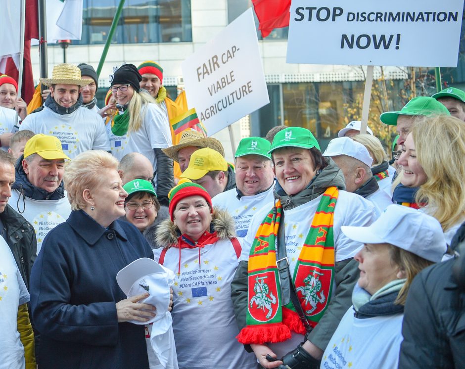 D. Grybauskaitė Briuselyje kovos už Lietuvos ūkininkus 