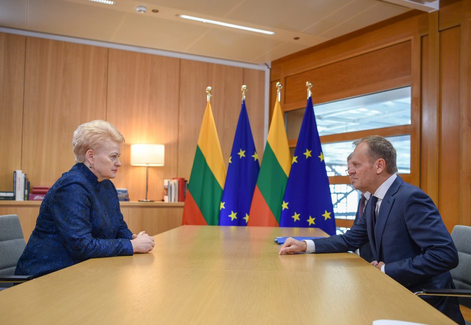 Briuselyje – prezidentės ir D. Tusko susitikimas