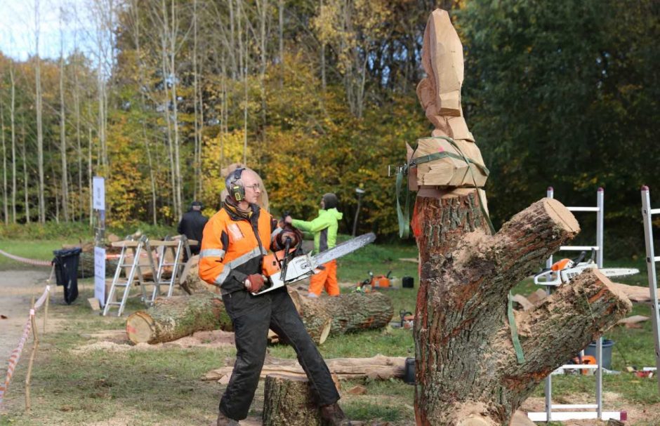Medžio drožėjai pasiryžo sukurti 100 skulptūrų Lietuvai