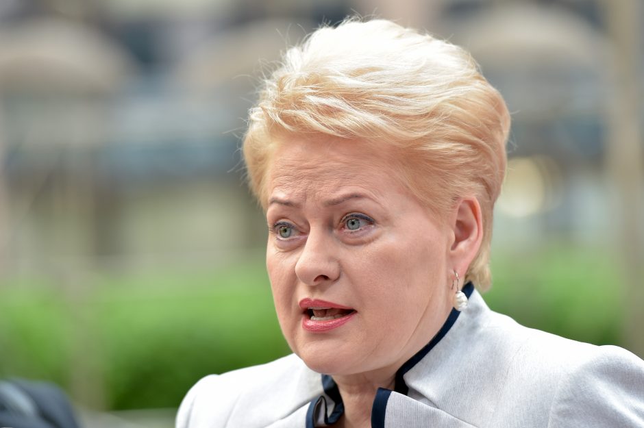 D. Grybauskaitė: tarp Graikijos ir jos partnerių trūksta pasitikėjimo 