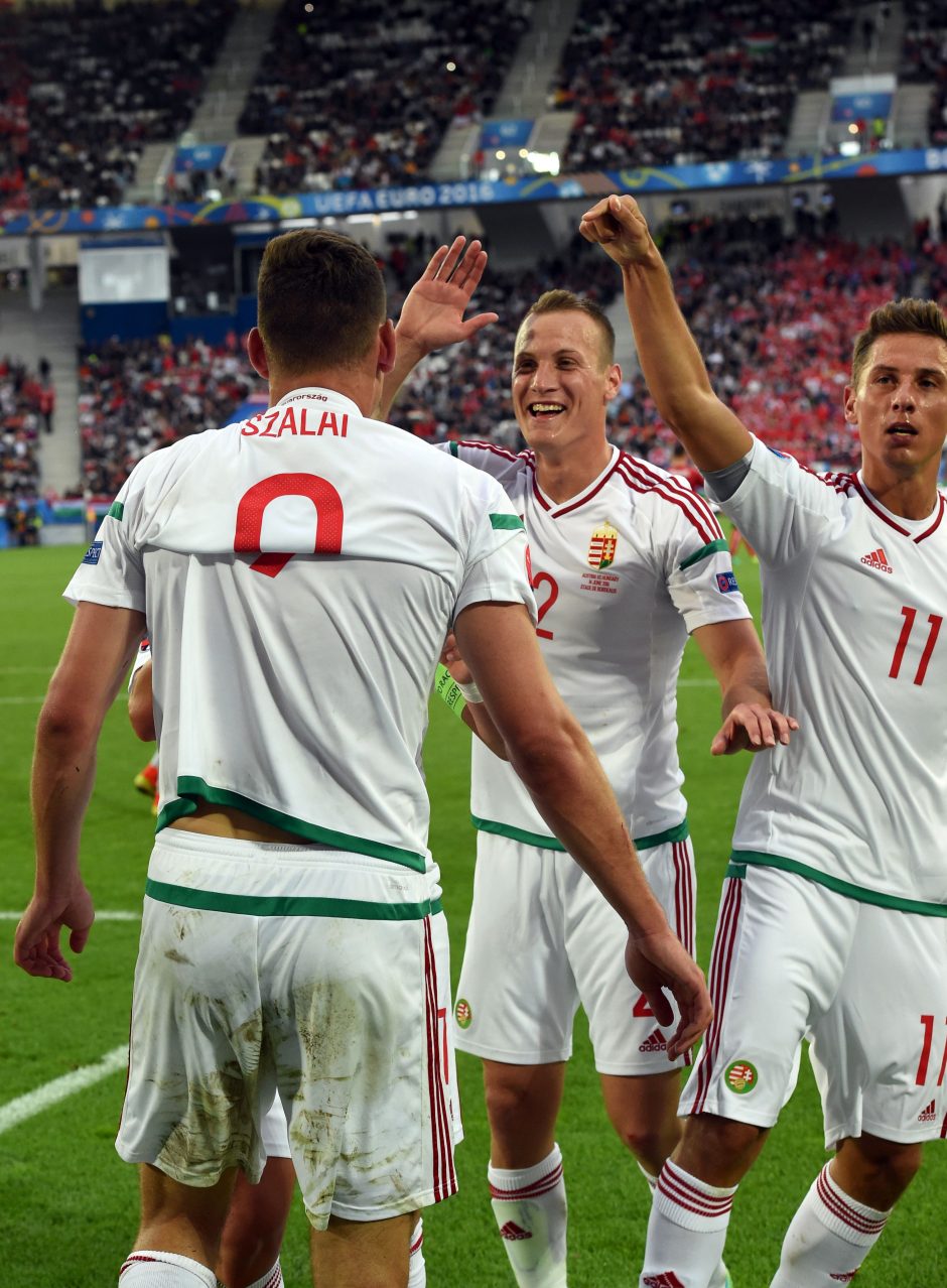 Netikėtumas: Vengrijos futbolininkai parklupdė Austrijos rinktinę